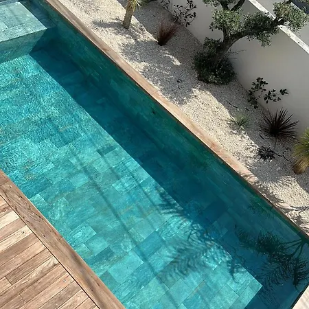 Baya - 800 M De La Agde